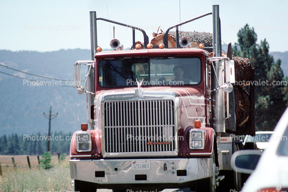 International, Logging Truck, Semi, east of Lake Almador, Highway 36