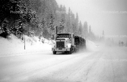 Kenworth, west of Sisters, Santiam Pass, Highway-20, Forest, Trees