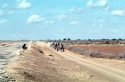 Donkey, Cart, Desert, Person, Somalia