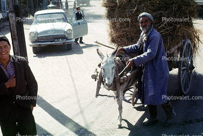 Donkey, Cart, Taxi Cab Car, Samarkand, Uzbekistan