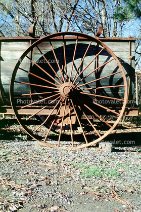 Wagon Wheel, Sonoma County, California