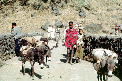 Bahir Dor, Ethiopia