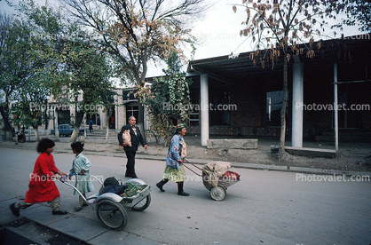 girls pushing a cart, vegetables, street, Samarkand, Uzbekistan
