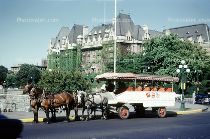 Horse Drawn Tourist Carriage, Canada, 1950s