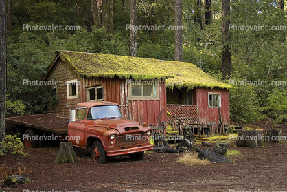 Chevy Flatbed Truck, home, house, domestic, moss, Mendocino County, Chevrolet