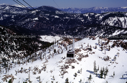 Palisades Tahoe pine trees, evergreen forest, snow, ice, hills, Sierra-Nevada Mountains