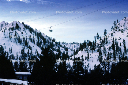 Tramway Gondola over Palisades Tahoe, Snow, Mountains, Forest
