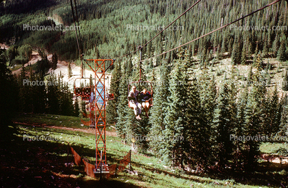 Ski Basin, Forest, Trees, Santa-Fe, New Mexico