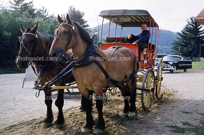 Horse and Buggy, New Hampshire, 1950s