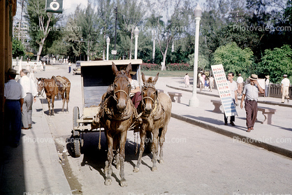 Cuba, 1954, 1950s