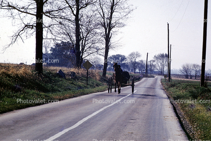 Amish Country, Lancaster County, Pennsylvania, 1961, 1960s