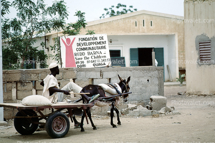 Dori, Burkina Faso, Mule