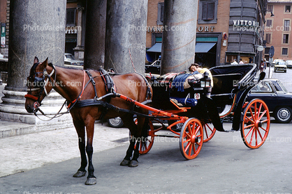 Horse and Buggy, sleeping man, Rome, Italy