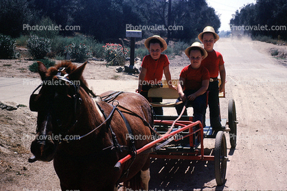 Boys on a buggy, 1950s