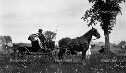 Horse and Buggy, 1890's