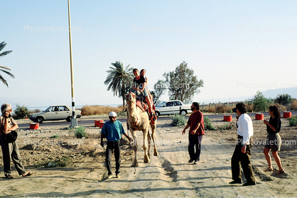 Girls Riding a Camel, Lido, Dead Sea