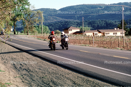 Silverado Trail, Napa Valley, Highway, Road
