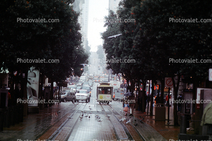 rainy, rain, Powell Street, Downtown-SF, downtown