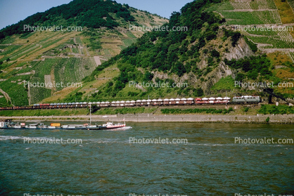 Car Carrier, Rhine River, (Rhein), Car-Train, 1950s