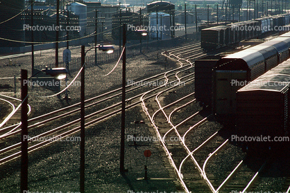 Rail Split, Rail Yard, Columbia River Basin, Railroad Tracks, 11 August 1991