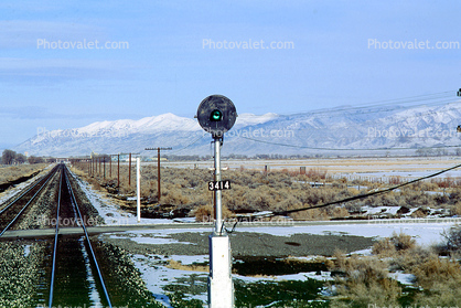 signal light, Snow, Brush, Shrub, Ice, Cold, Frozen, Icy, Winter, 31 December 1992