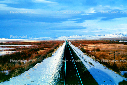 Railroad Tracks in the Snow, Brush, Shrub, Ice, Cold, Frozen, Icy, Winter, 31 December 1992