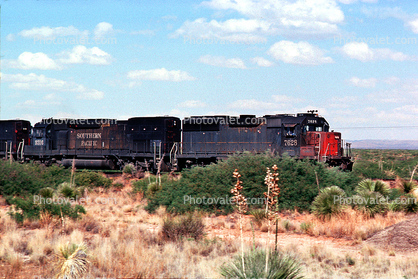 SP 7628, SP 9316, Southern Pacific, Diesel Electric Locomotive, 9 May 1994