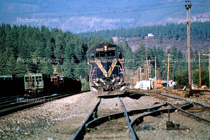 UP 9003, MPI, Union Pacific head-on, Diesel Electric Locomotive, Truckee