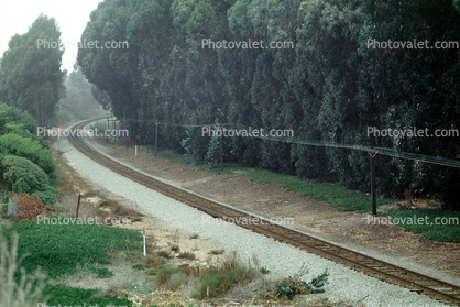 Long Curved tracks, Oceana, California