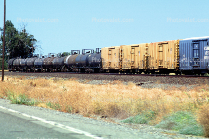 Darling International, Oil Tank Cars, Boxcars