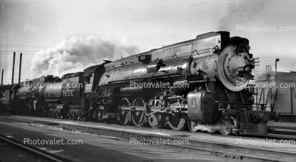 Southern Pacific, SP 4302, Mountain Class Mt-1, 4-8-2, Skyline Casing, 1950s