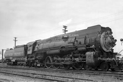 Southern Pacific, SP 4303, Mountain Class Mt-1, 4-8-2, Skyline Casing, 1950s
