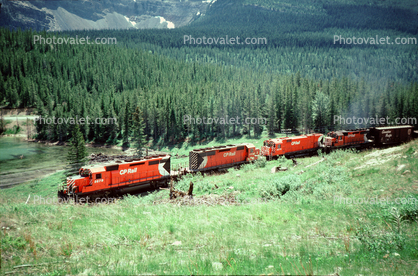2838, CP-Rail, CPRail, Canada, Forest, trees, Valley