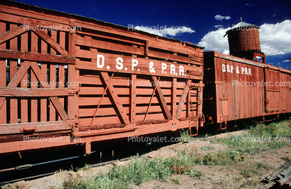 Cattle Car, D.S.P. & P.R.R.