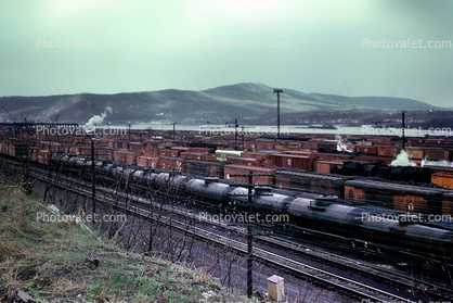 Trainyard, railyard, Oil Tanker Cars, April 1955, 1950s