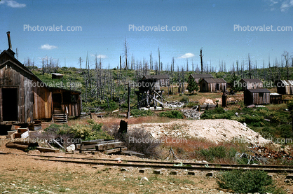Lumber Camp, buildings, housing, 1960s