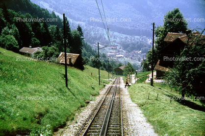 Rigi Railways, (Rigi-Bahnen), Mount Rigi, Cog