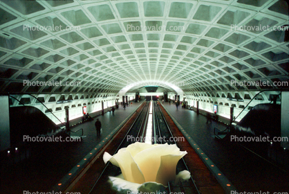 Rose in the Metro, Washington DC, arch