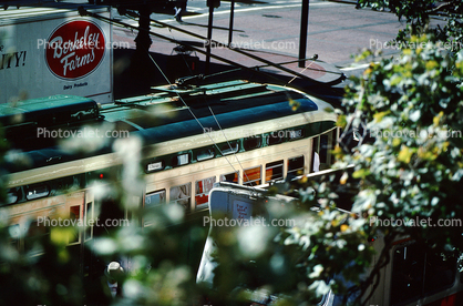 Market Street, F-Line, Trolley, San Francisco, California