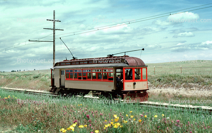 Petaluma & Santa Rosa Railroad Co., Railway, Trolley