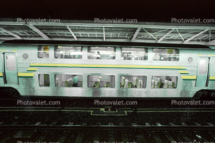 Doubledecker Railcar, Passenger, Man, Train Station, Depot, Terminal, Japanese Bullet Train, Tokyo