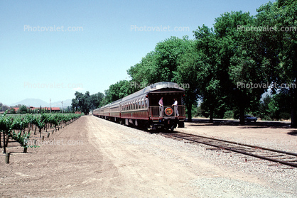 Wine Train, Rear Passenger Railcar, Napa Valley
