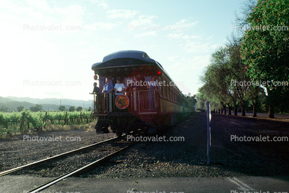 Wine Train, Rear Passenger Car, Napa Valley