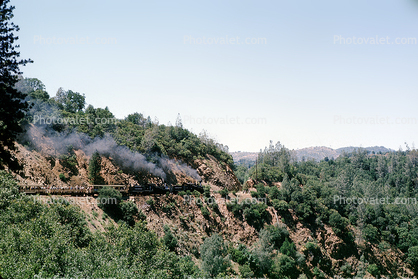 Feather River Railway, trees, forest, woodland, Oroville, 1963, 1960s
