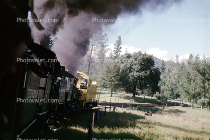 Shay Locomotives, Feather River Railway, Oroville, 1963, trees, forest, woodland, 1960s