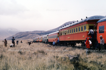 Stalled Train, Passenger Railcars