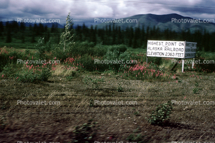 Highest Point on Alaska Railroad, Alaska Railroad, W P & Y R, White Pass & Yukon Route