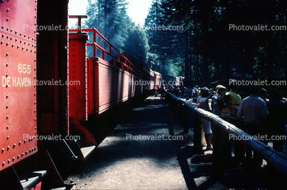 California Western, Skunk Railroad, Mendocino County