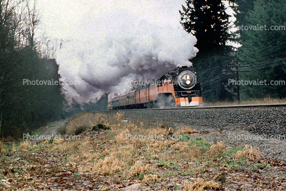 SP 4449, GS-4 class Steam Locomotive, 4-8-4, Southern Pacific Daylight Special