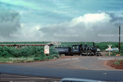 Sugar Cane Train, Myrtle LKRR 3, 2-4-0, Plantation, Lahaina Kaanapali & Pacific Railroad Company, Maui